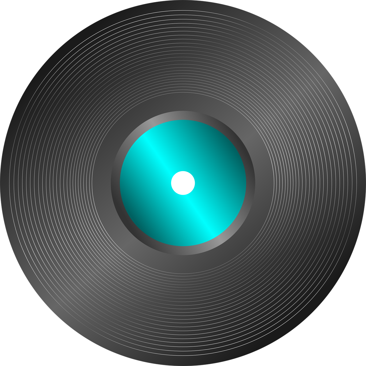 Vinyl Record